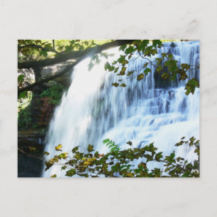 Carte postale merveilleuse de cascade