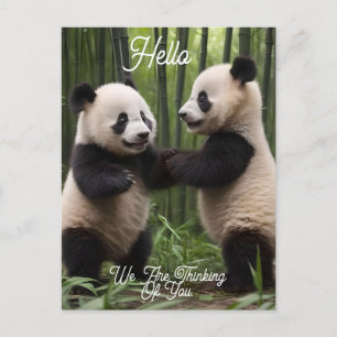 Carte Postale Merveilleuse : Les bébés pandas jouent dans la for