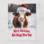 Carte Postale Merveilleuse vache de Noël (Devant)