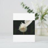 Carte Postale Merveilleux Dandelion (Debout devant)
