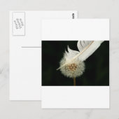 Carte Postale Merveilleux Dandelion (Devant / Derrière)