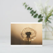 Carte Postale Merveilleux Dandelion (Debout devant)