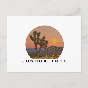 CARTE POSTALE MERVEILLEUX JOSHUA TREE