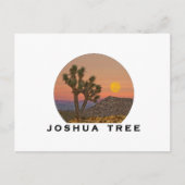 CARTE POSTALE MERVEILLEUX JOSHUA TREE (Devant)