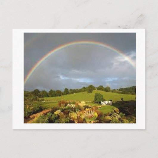 Carte Postale Merveilleux Jour (Devant)