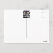 Carte Postale Merveilleux portrait de chat (Dos)