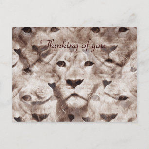 Carte Postale Merveilleux yeux_