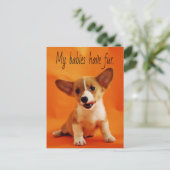 Carte Postale Mes bébés ont du poil chien, chiots mignons, chiot (Debout devant)