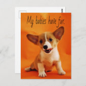 Carte Postale Mes bébés ont du poil chien, chiots mignons, chiot (Devant / Derrière)