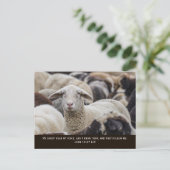 Carte Postale Mes brebis entendent ma voix, Jean 10:27, (Debout devant)