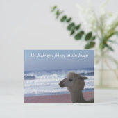 Carte postale - Mes cheveux frisent ... (Debout devant)