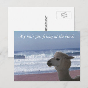 Carte postale - Mes cheveux frisent ...