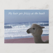 Carte postale - Mes cheveux frisent ... (Devant)