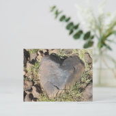 Carte Postale Mes rochers de coeur (Debout devant)