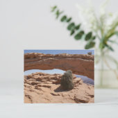 Carte Postale Mesa Arch et Tumbleweed aux Canyonlands (Debout devant)