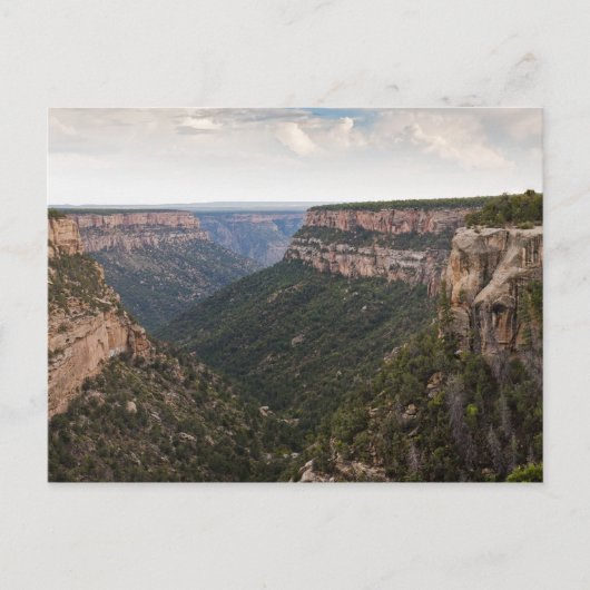 Carte Postale Mesa Verde (Devant)