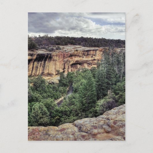 Carte Postale Mesa Verde Cliff Logements (Devant)