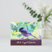 Carte Postale Mésange à tête noire oiseaux perchés Canada (Debout devant)