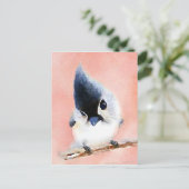 Carte Postale Mésange tuftée (Debout devant)