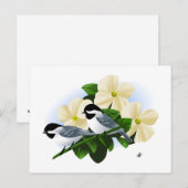 Carte Postale Mésanges et Fleur de Cornouiller (Devant / Derrière)