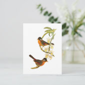 Carte Postale Mésie à oreilles argentées (Debout devant)