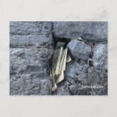 Carte Postale Message (Devant)