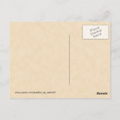 Carte Postale Message dans une bouteille. (Dos)