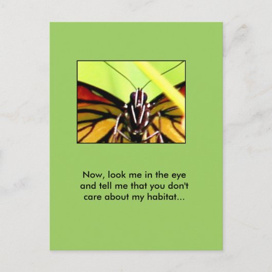 Carte Postale Message de Monarch (Devant)