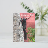 Carte Postale Message de voeux de passage de ... Écureuil noir (Debout devant)