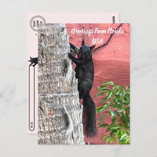 Carte Postale Message de voeux de passage de ... Écureuil noir (Devant / Derrière)