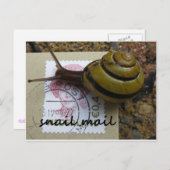 Carte Postale Messagerie d'escrocs (Devant / Derrière)