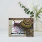 Carte Postale Messagerie d'escrocs (Debout devant)