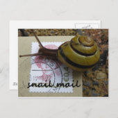 Carte Postale Messagerie d'escrocs (Devant / Derrière)