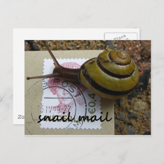 Carte Postale Messagerie d'escrocs (Devant / Derrière)