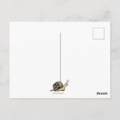 Carte Postale Messagerie d'escrocs (Dos)