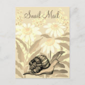 Carte Postale Messagerie d'escrocs (Devant)