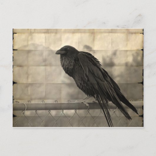 Carte Postale Messenger (Vintage) (Devant)