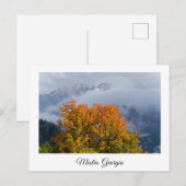 Carte postale Mestia Georgia (Devant / Derrière)