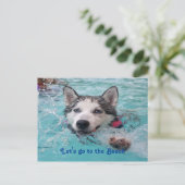 Carte Postale Mete Beach Dog salutations (Debout devant)