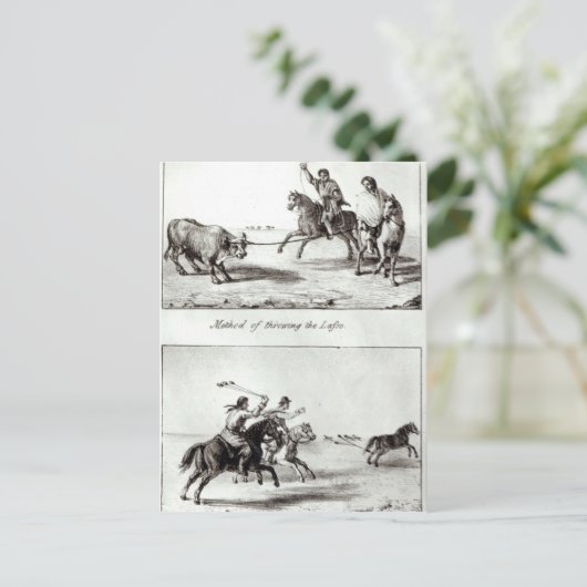 Carte Postale Méthodes de Jeter le Lasso et les Bolas (Debout devant)