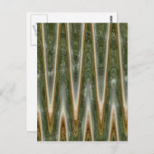 Carte Postale Métrage vert (Devant / Derrière)