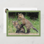 Carte Postale Mets-moi (Devant / Derrière)