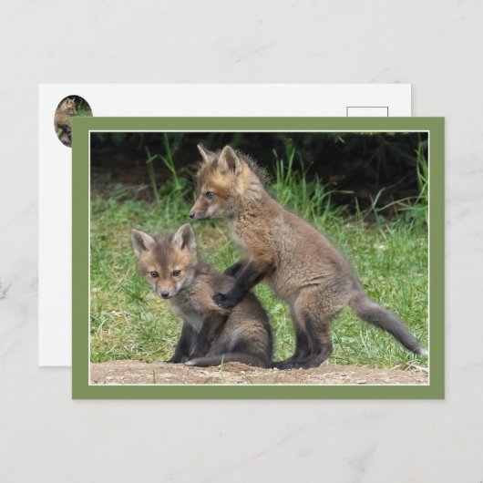 Carte Postale Mets-moi (Devant / Derrière)