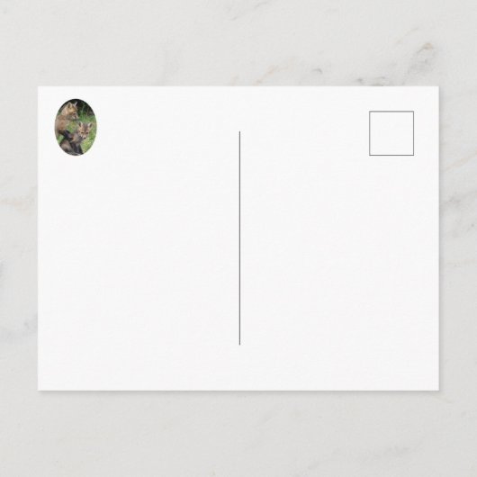 Carte Postale Mets-moi (Dos)