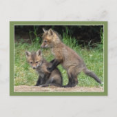 Carte Postale Mets-moi (Devant)