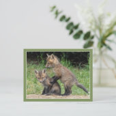 Carte Postale Mets-moi (Debout devant)