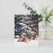 Carte Postale Meute de loups en hiver (Debout devant)