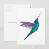 Carte Postale Mexican Violetear Hummingbird (Devant / Derrière)