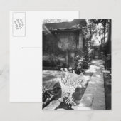 Carte Postale MEXICO, D.F., Mexico, COYOACAN : Banc à (Devant / Derrière)