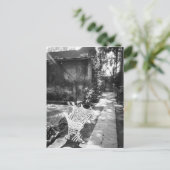 Carte Postale MEXICO, D.F., Mexico, COYOACAN : Banc à (Debout devant)